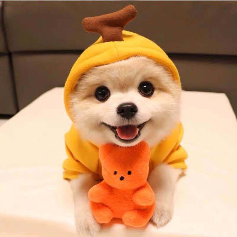 Cute Fruit Hoodies Winter Warm Fleece Dog Clothes for Small Dogs Puppy Cat Costume Coat for French Chihuahua - Chriswell’s