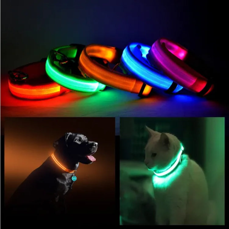 LED Pet Safety Halo Style Collar with Bright Visible LED Light