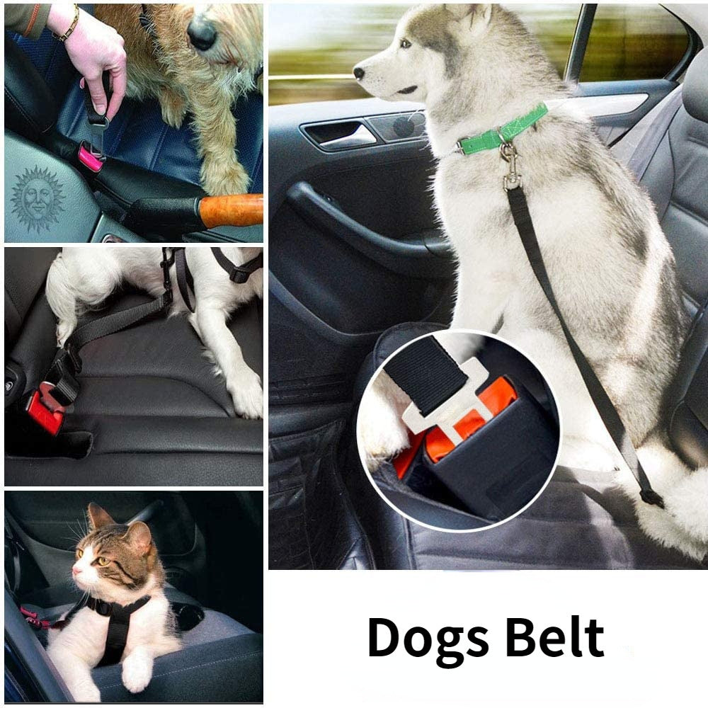 Retractable Dog Safety Belt Car Safety Belt for Pet Dog Supplies with Safety Buckle