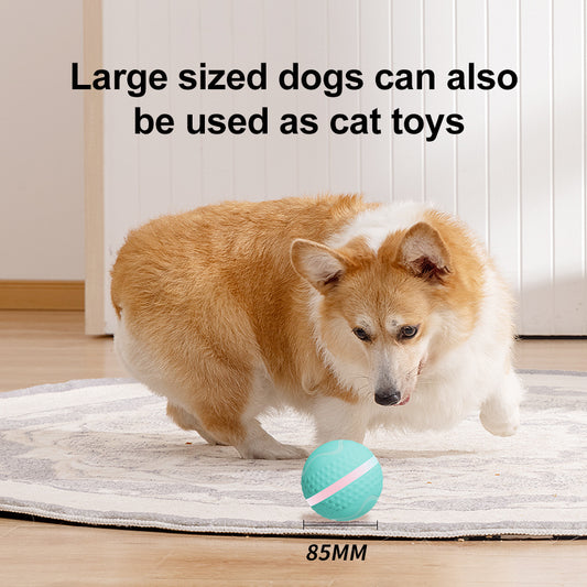 Pet Electric Dog Ball This smart Electric Dog Ball rolls, bounces, and keeps your pup moving! Great for exercise, boredom relief, and nonstop tail-wagging fun—indoors or out.