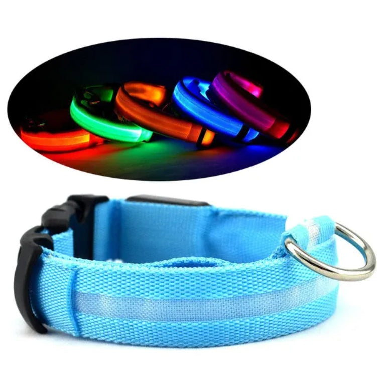 LED Pet Safety Halo Style Collar with Bright Visible LED Light
