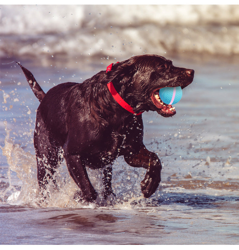 Smart Pet Electric Dog Ball for Exercise and Boredom Relief Interactive Toy - Chriswell’s