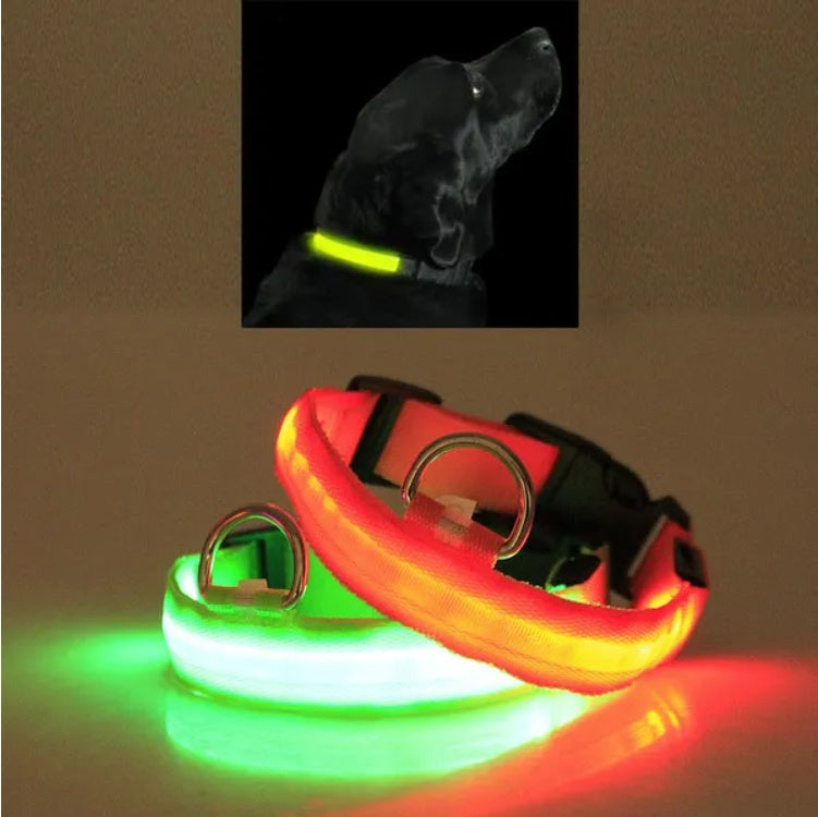 LED Pet Safety Halo Style Collar with Bright Visible LED Light