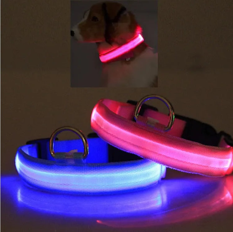LED Pet Safety Halo Style Collar with Bright Visible LED Light