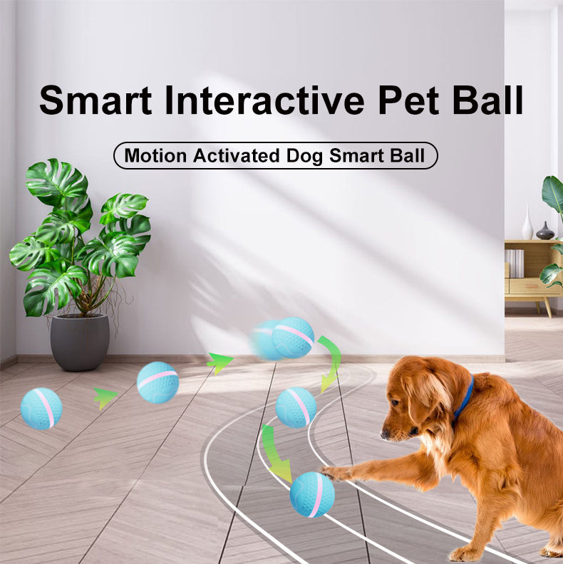 Smart Pet Electric Dog Ball for Exercise and Boredom Relief Interactive Toy - Chriswell’s