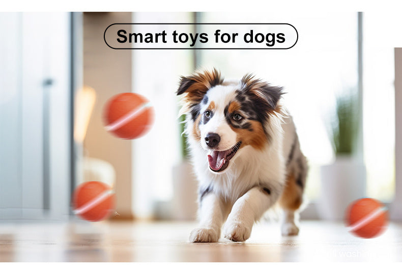 Smart Pet Electric Dog Ball for Exercise and Boredom Relief Interactive Toy - Chriswell’s
