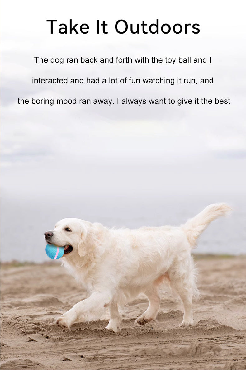 Smart Pet Electric Dog Ball for Exercise and Boredom Relief Interactive Toy - Chriswell’s