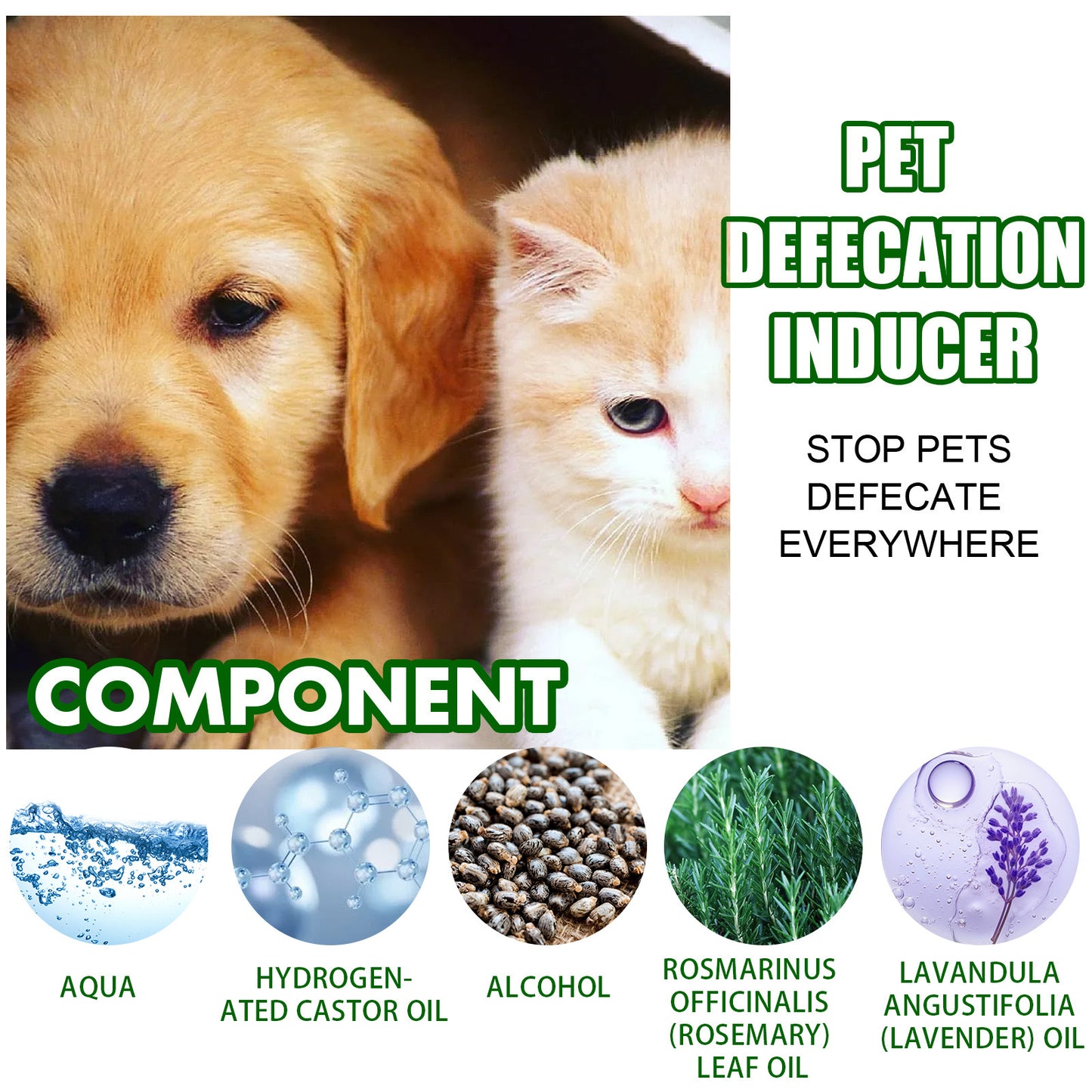 Yegbong Pet Toilet Inducer Helps Train Pets to Use Designated Bathroom Spots with Natural Pet Safe Scents - Chriswell’s