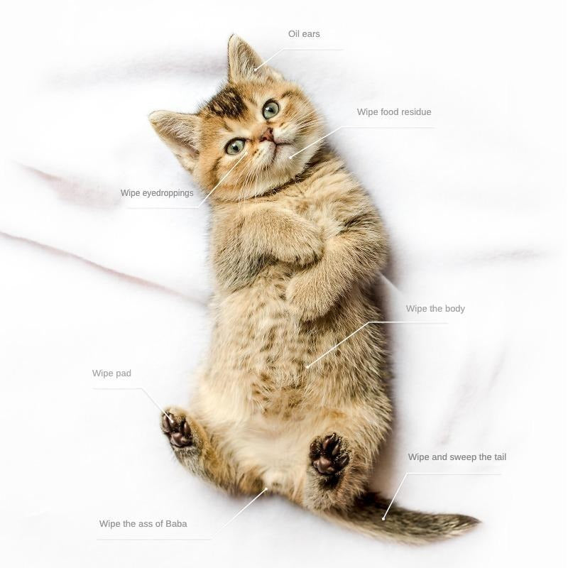 Pet Cleaning Deodorizing Bathing Wipes for Dogs and Cats Nourish Fur Coconut Oil Grooming Wipes Hypoallergenic Daily Care Traveling - Chriswell’s