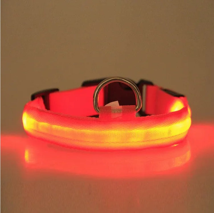 LED Pet Safety Halo Style Collar with Bright Visible LED Light