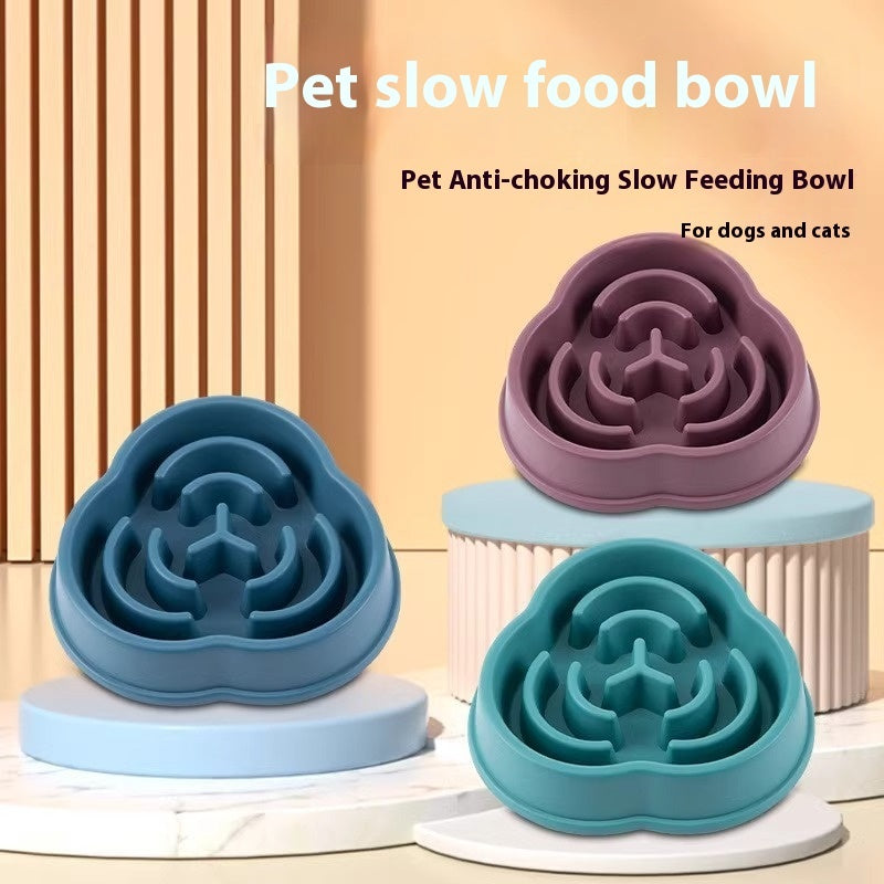 Pet Slow Feeding Bowl Anti-Choke Anti-Skid Dog Bowl for Cats - Chriswell’s