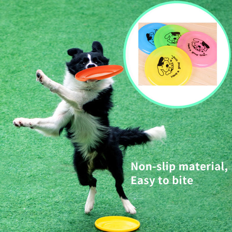 Silicone Flying Saucer Dog and Cat Toy Interactive Pet Supplies Chew Resistant Training Disc 20cm