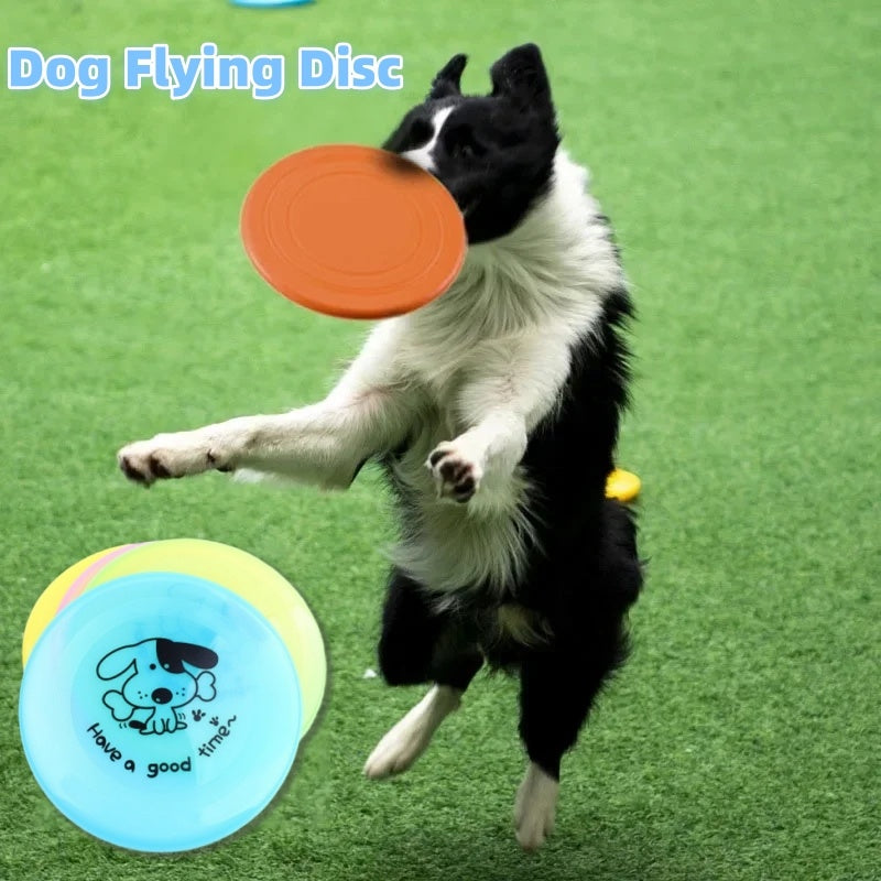 Silicone Flying Saucer Dog and Cat Toy Interactive Pet Supplies Chew Resistant Training Disc 20cm
